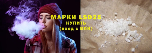 ешки Новодвинск