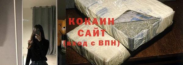 ешки Новодвинск