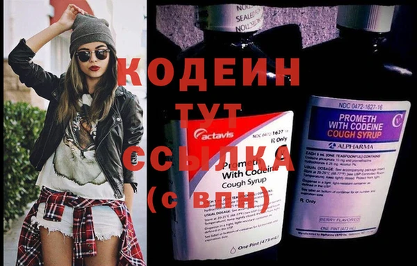 ешки Новодвинск