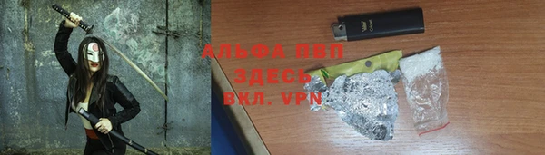 ешки Новодвинск
