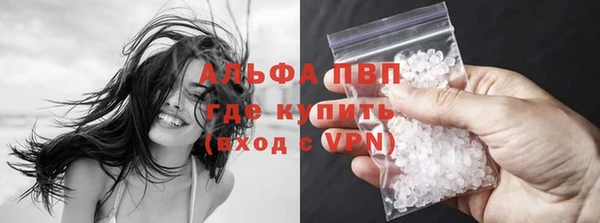 стафф Новокубанск