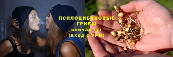 стафф Новокубанск