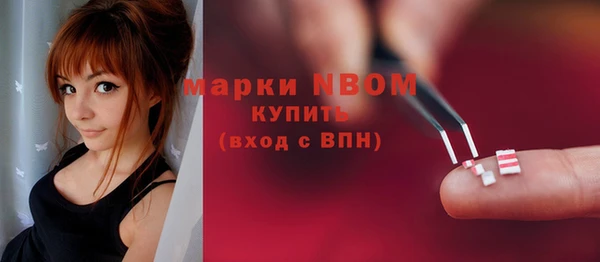 ешки Новодвинск