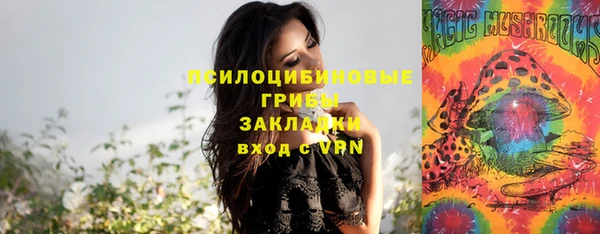 стафф Новокубанск