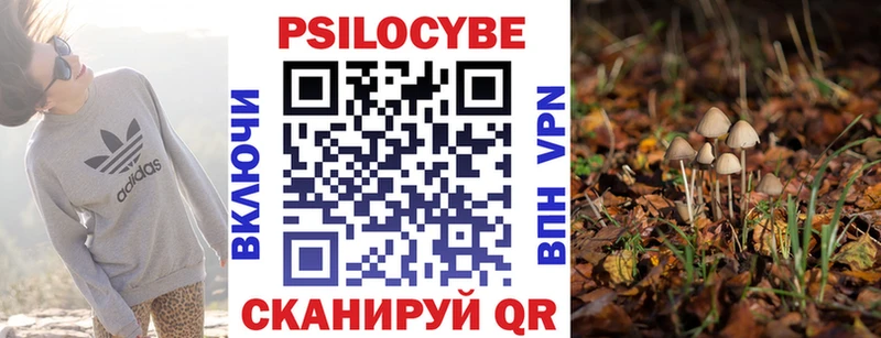 blacksprut онион  Адыгейск  Галлюциногенные грибы ЛСД 