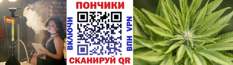 Бошки марихуана VHQ Адыгейск